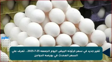 تغير جديد في سعر كرتونة البيض اليوم الجمعة 25-7-2025.. تعرف على السعر المحدث في بورصة الدواجن